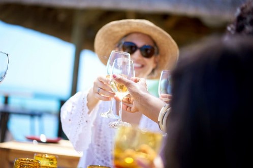 a happy woman in casual attire toasting a wine glass
